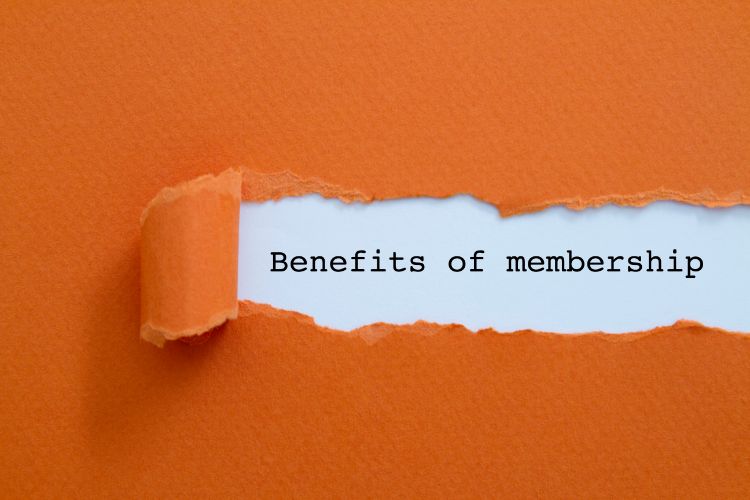 Evaluate memberships to fix negative net worth